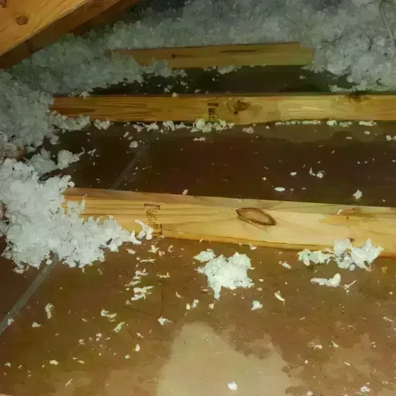 Attic Water Damage in Warsaw, MO