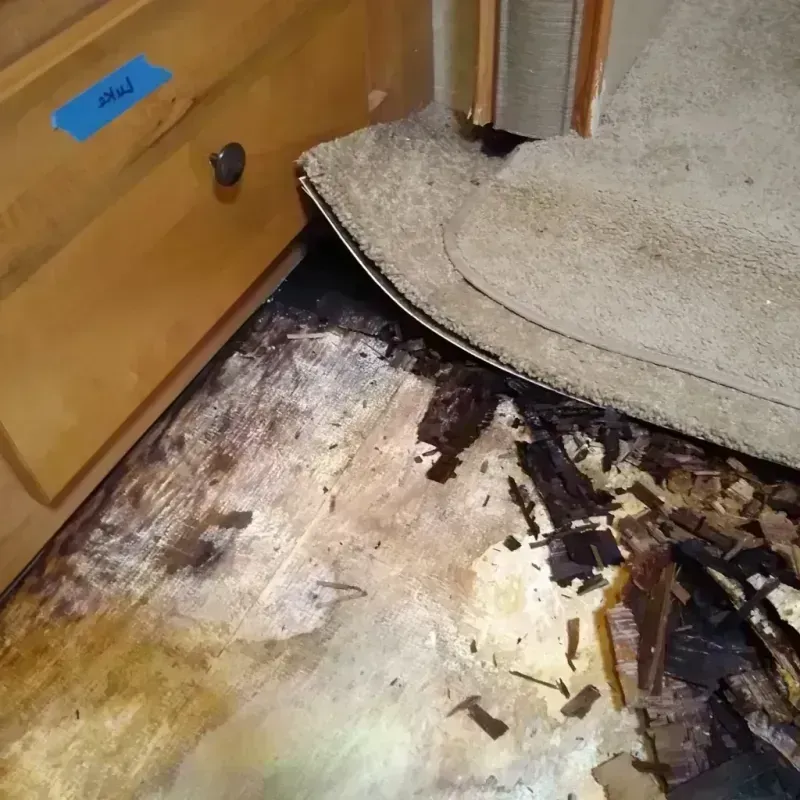 Wood Floor Water Damage in Warsaw, MO